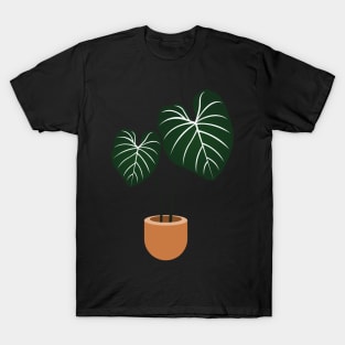 Philodendron gloriosum plant T-Shirt